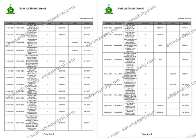 Pakistan Bank Al Habib statement of account Word and PDF template, 4 pages, 3-4 pages